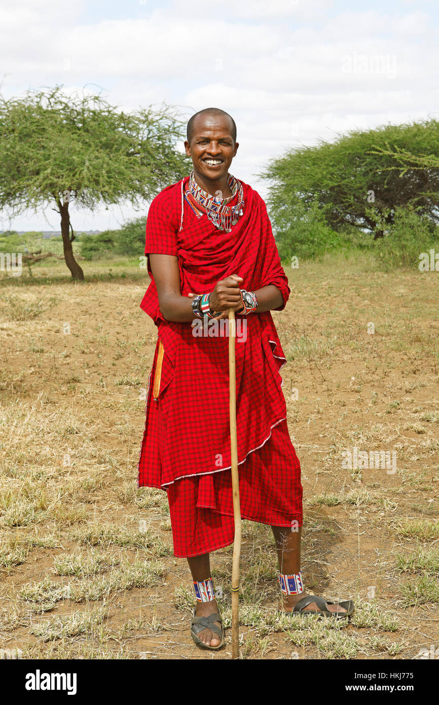 Shuka männlichen Masai in traditioneller Kleidung mit Shepherd's Crook, Tsavo West National Park, Taita-Taveta County, Kenia Stockfoto