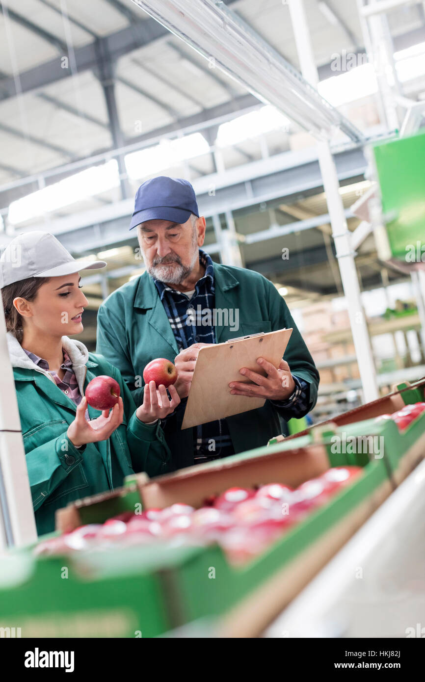 Manager mit Zwischenablage und Arbeitskraft Prüfung rote Äpfel in Lebensmittel verarbeitenden Anlage Stockfoto