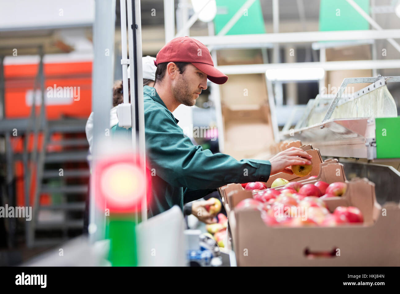 Männliche Arbeiter Inspektion Äpfel in Lebensmittel verarbeitenden Anlage Stockfoto