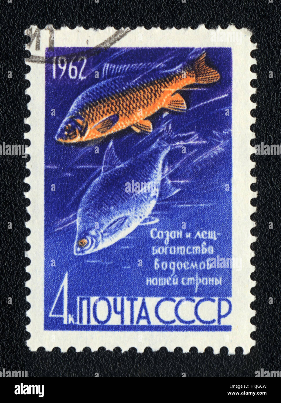 UdSSR - ca. 1962: A Briefmarke gedruckt in der UdSSR zeigt einen Karpfen und Brachsen (Cyprinus Carpio und Abramis Brama), Serie, ca. 1962 Stockfoto