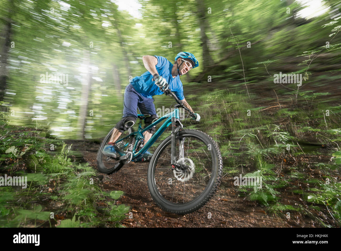 Mountainbiker fahren bergab im Wald, Bayern, Deutschland Stockfoto