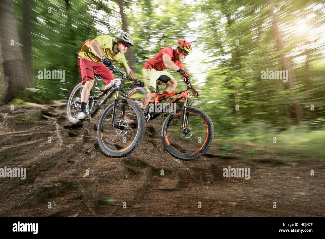 Zwei Mountainbiker fahren über Wurzeln im Wald, Bayern, Deutschland Stockfoto