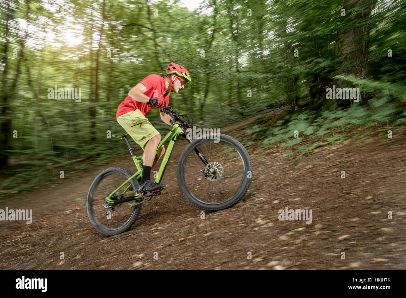 Mountainbiker bergauf im Wald, Bayern, Deutschland Stockfoto
