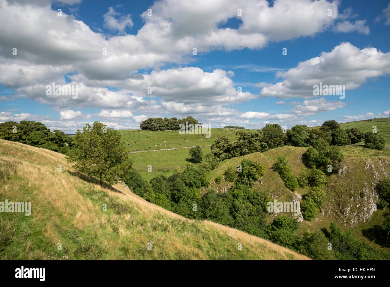 Schöner Sommertag in der Nähe von Biggin in der White Peak Area des Peak District National Park, Derbyshire. Stockfoto