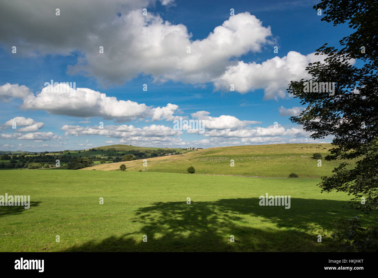 Flauschige Sommerwolken über Felder rund um das Dorf Chelmorton in der Nähe von Buxton, Derbyshire. Stockfoto