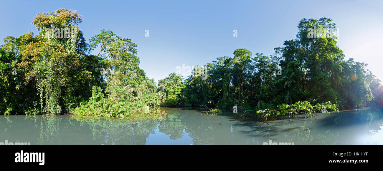 Malerische Aussicht von tropischen Regenwald und dem Fluss Tortuguero Nationalpark, Provinz Limon, Costa Rica Stockfoto
