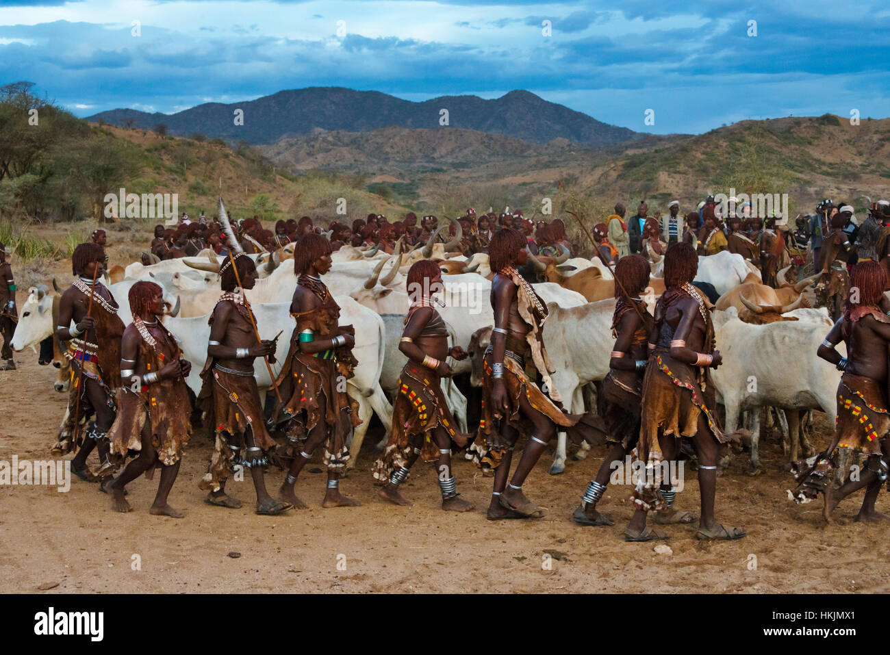 Hamar Menschen und Vieh auf Rinder springen (eine feierliche Veranstaltung feiert einen Hamar Mann wird erwachsen), Süd-Omo, Äthiopien Stockfoto