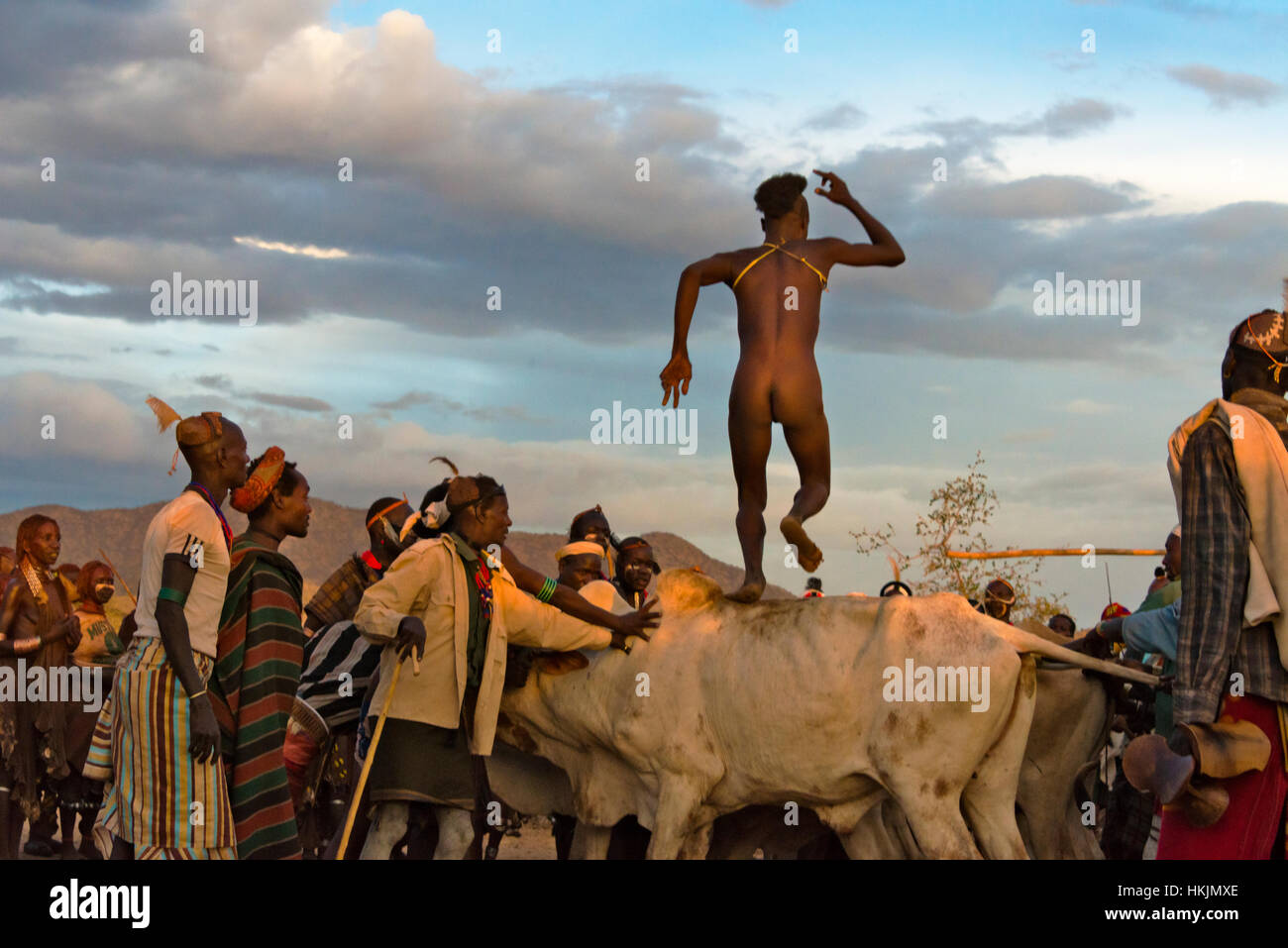 Hamar Stamm Menschen Rinder springen (eine feierliche Veranstaltung feiert einen Hamar Mann wird erwachsen), South Omo, Äthiopien Stockfoto