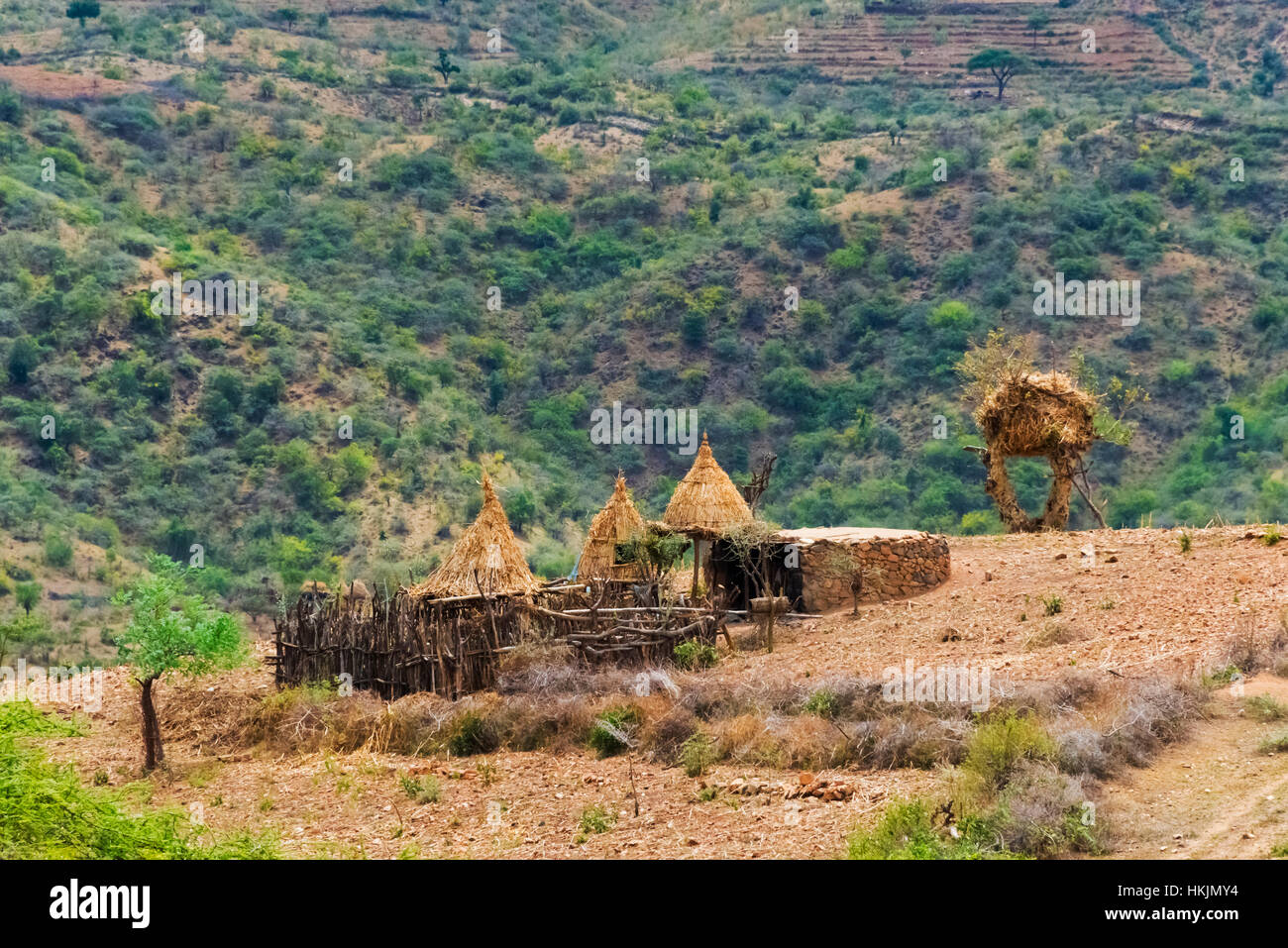 Dorfhäuser mit Strohdach auf Ackerland, Äthiopien Stockfoto