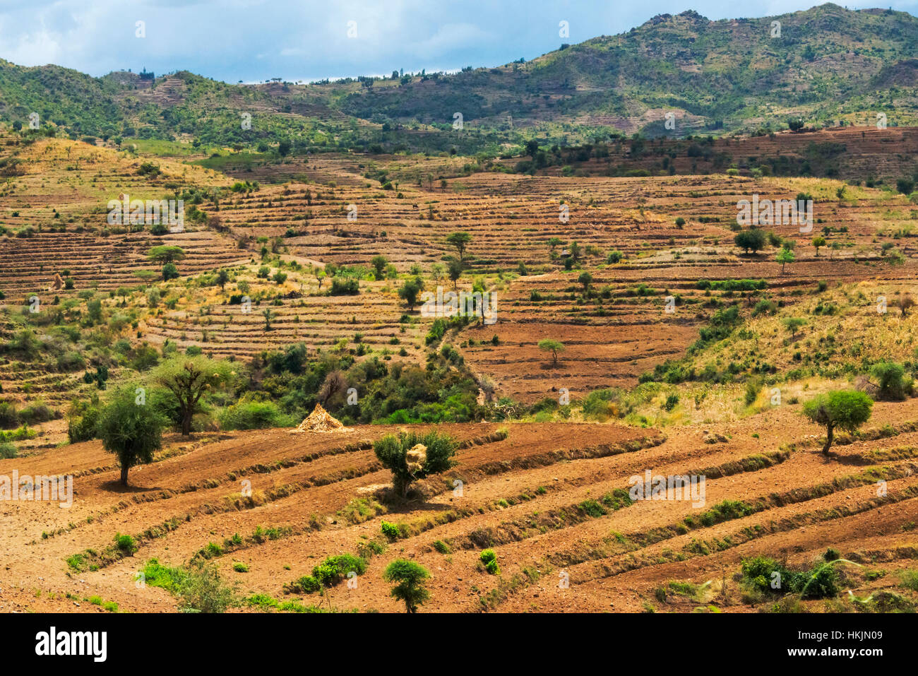 Terrassenförmig angelegten Ackerland in den Bergen, Konso Bereich, Äthiopien Stockfoto