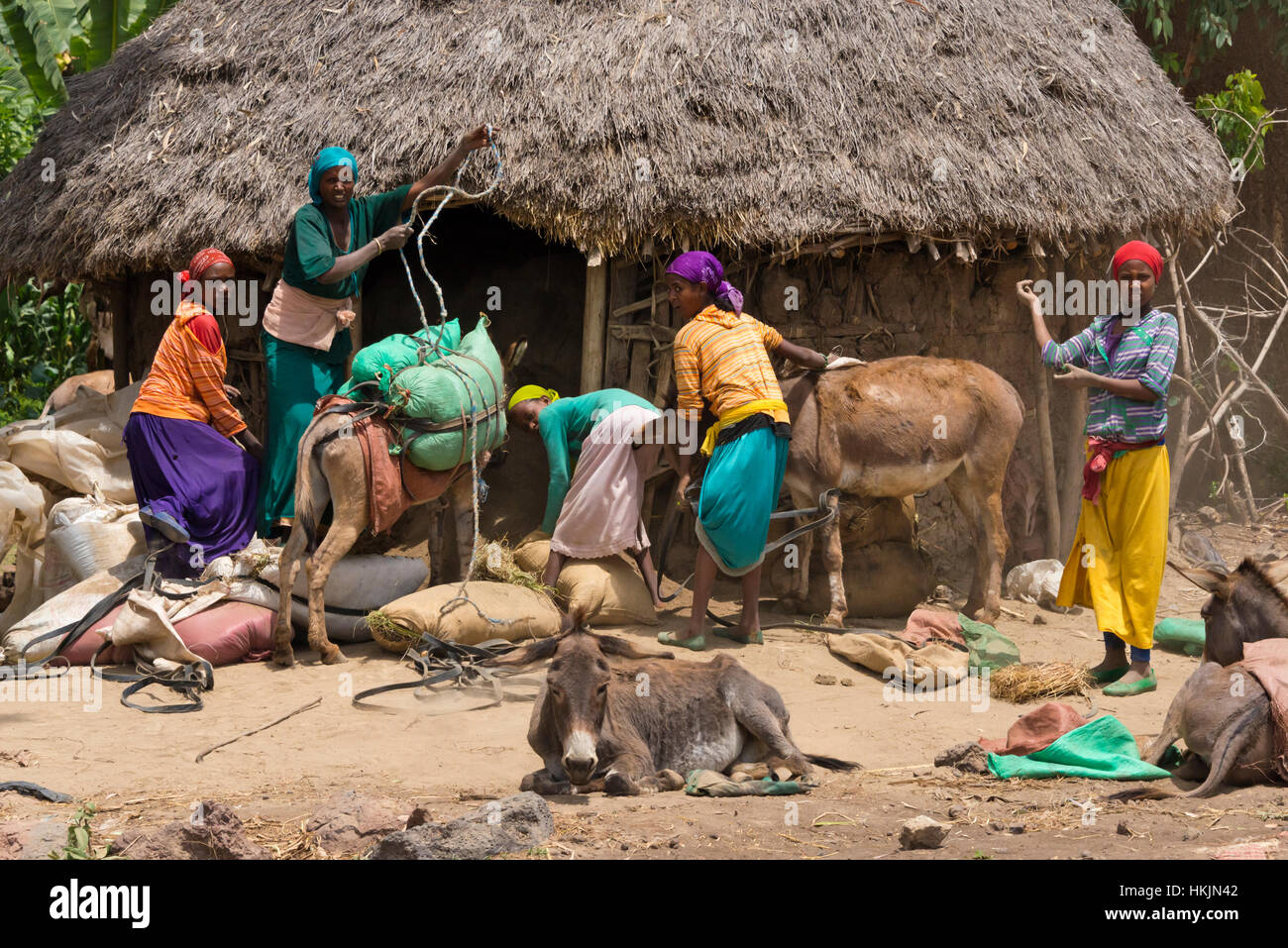 Menschen entladen Esel im Dorf, Äthiopien Stockfoto