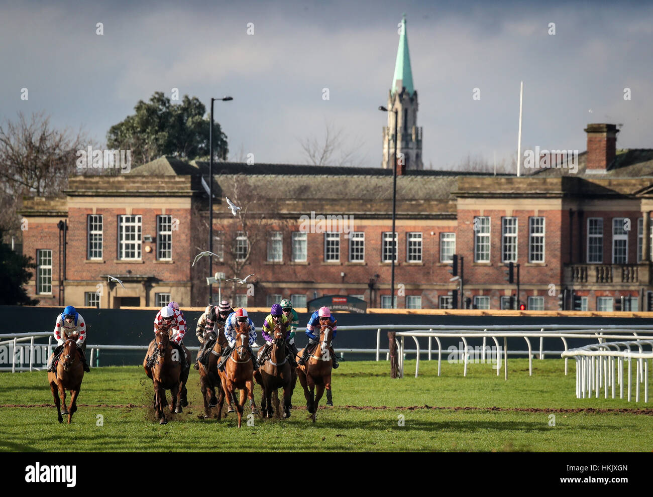 Aktion aus der The Albert Bartlett Fluss Don Novizinnen Hürdenrennen tagsüber Himmel Bet Chase in Doncaster Racecourse. Stockfoto