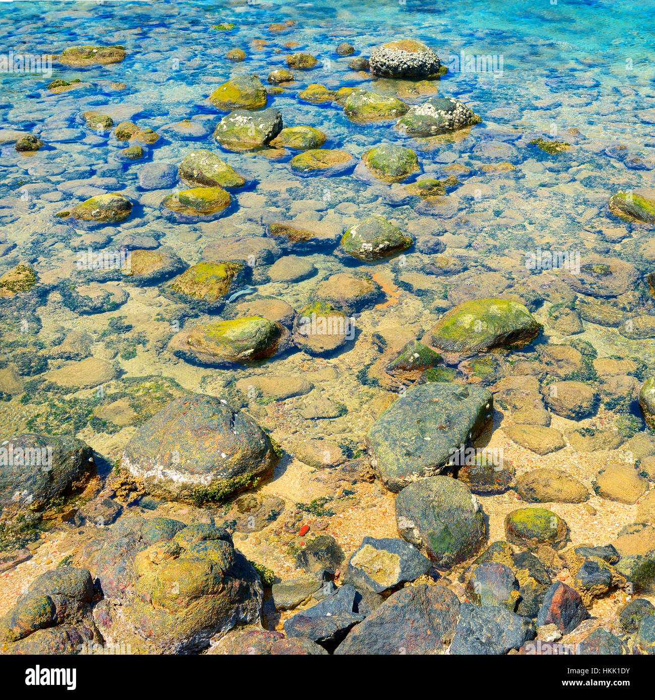 Meeresboden mit Felsen und Korallen Stockfoto