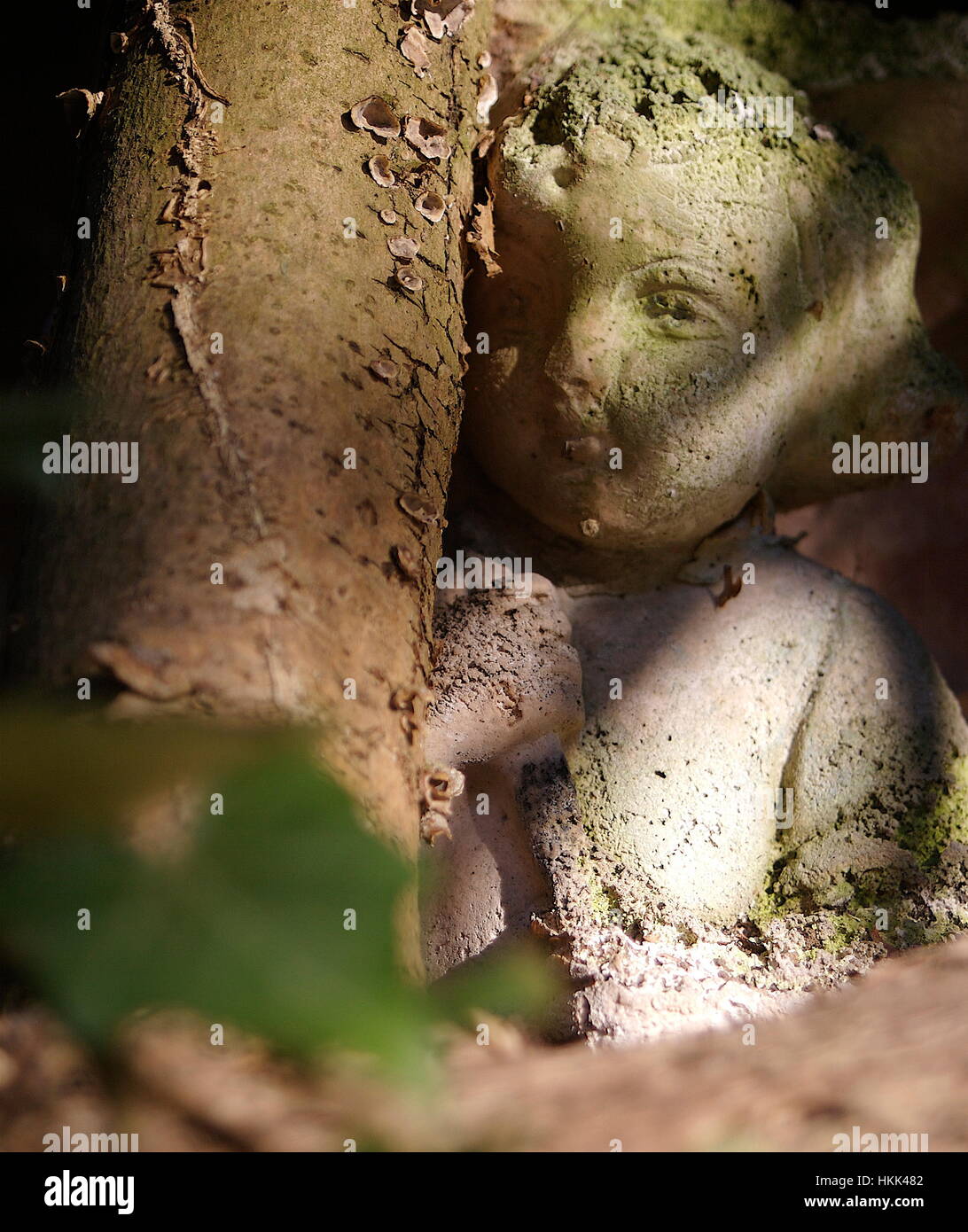 Gartenornament Engel Stein Mädchen versteckt sich hinter ein Efeu Stockfoto