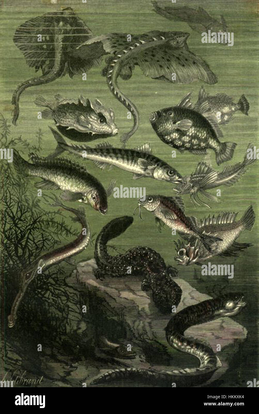 Das Gemälde „Twenty Thousand Leagues Unthe Sea“ von Neuville und Riou zeigt die fiktiven Unterwasserabenteuer von Kapitän Nemo, basierend auf Jules Vernes Roman. Stockfoto