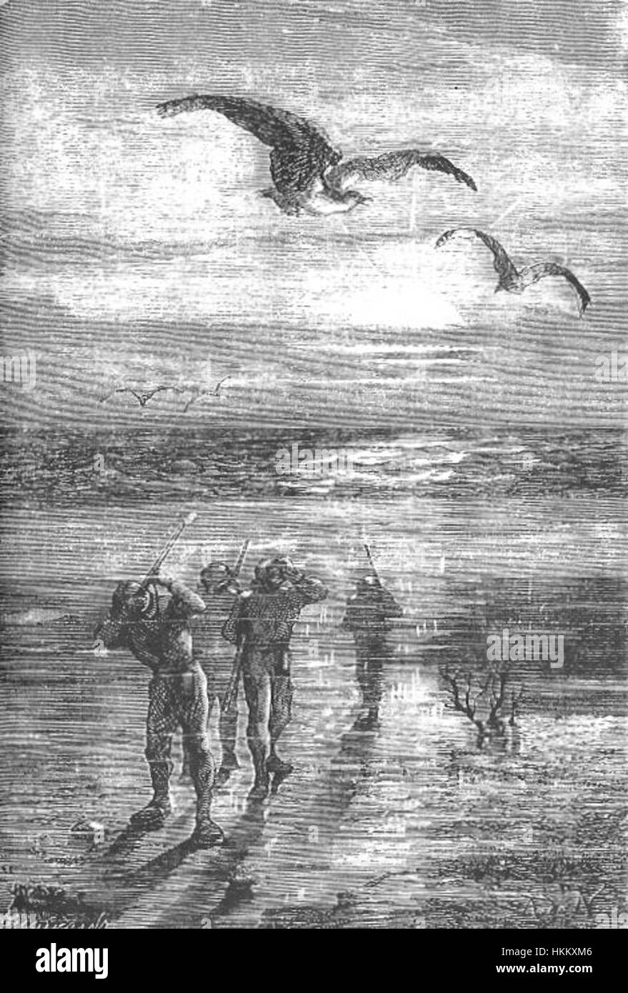 Eine klassische Illustration aus „Twenty Thousand Leagues Unthe Sea“ von Neuville und Riou, die Szenen aus dem berühmten Roman von Jules Verne zeigt und Unterwasserforschung und Abenteuer zeigt. Stockfoto