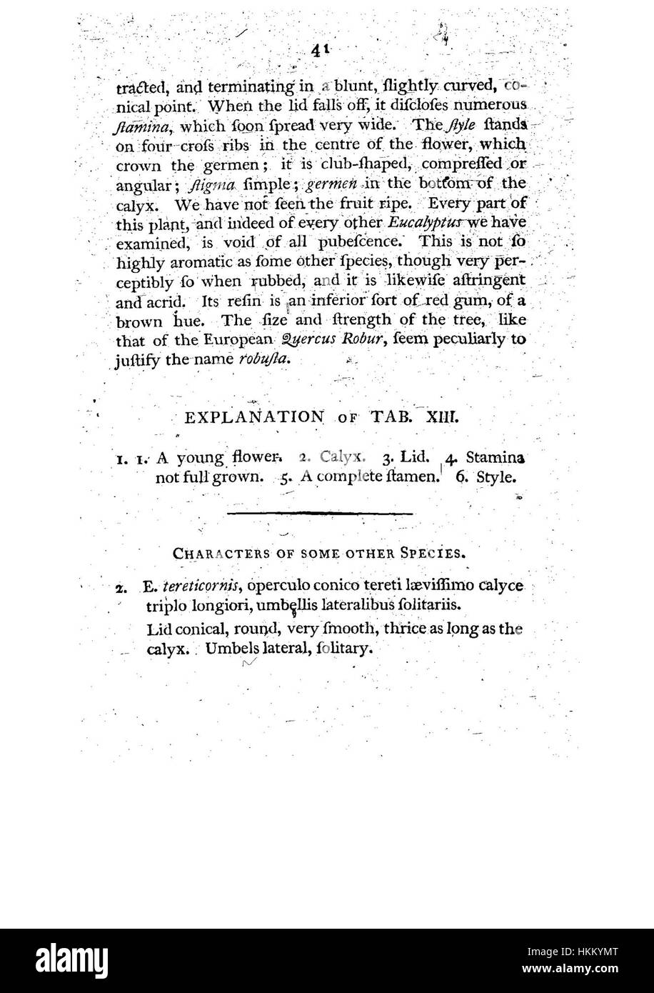Diese botanische Illustration aus „A Example of the Botanique of New Holland“ zeigt einheimische Pflanzen Australiens, insbesondere eine Pflanzenart in lebendigen Details. Das Kunstwerk ist eine wichtige Darstellung der frühen botanischen Forschung und der Flora von New Holland (heute Australien). Stockfoto
