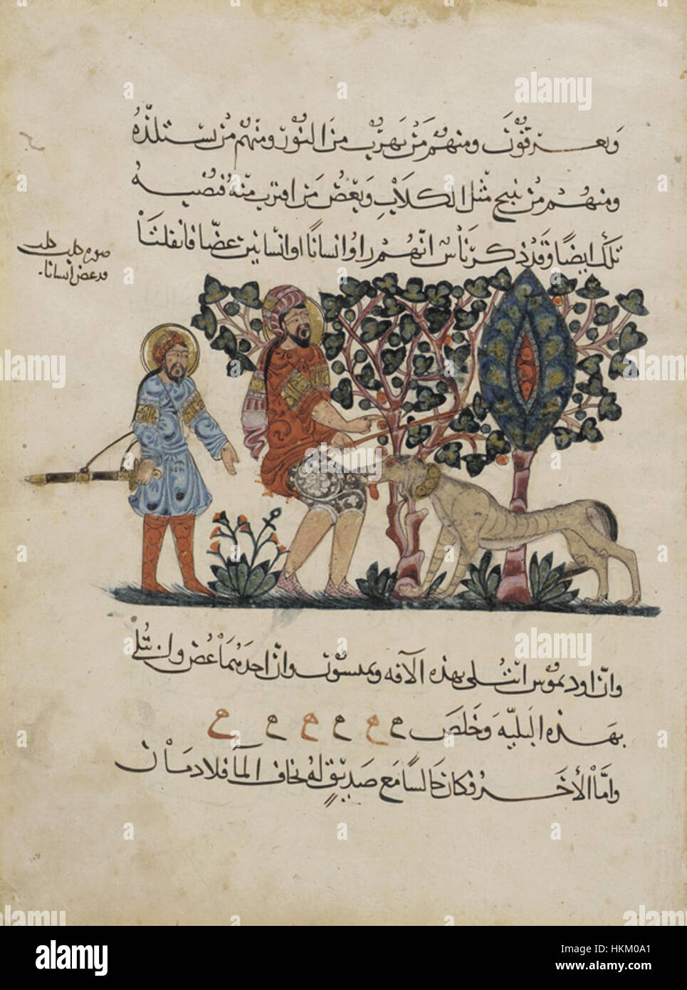 Abbasid Caliphate, Outdoor-Szene eines tollwütigen Hundes beißen, ein Mann, die arabische Übersetzung der Materia Medica, 1224 n. Chr. Stockfoto