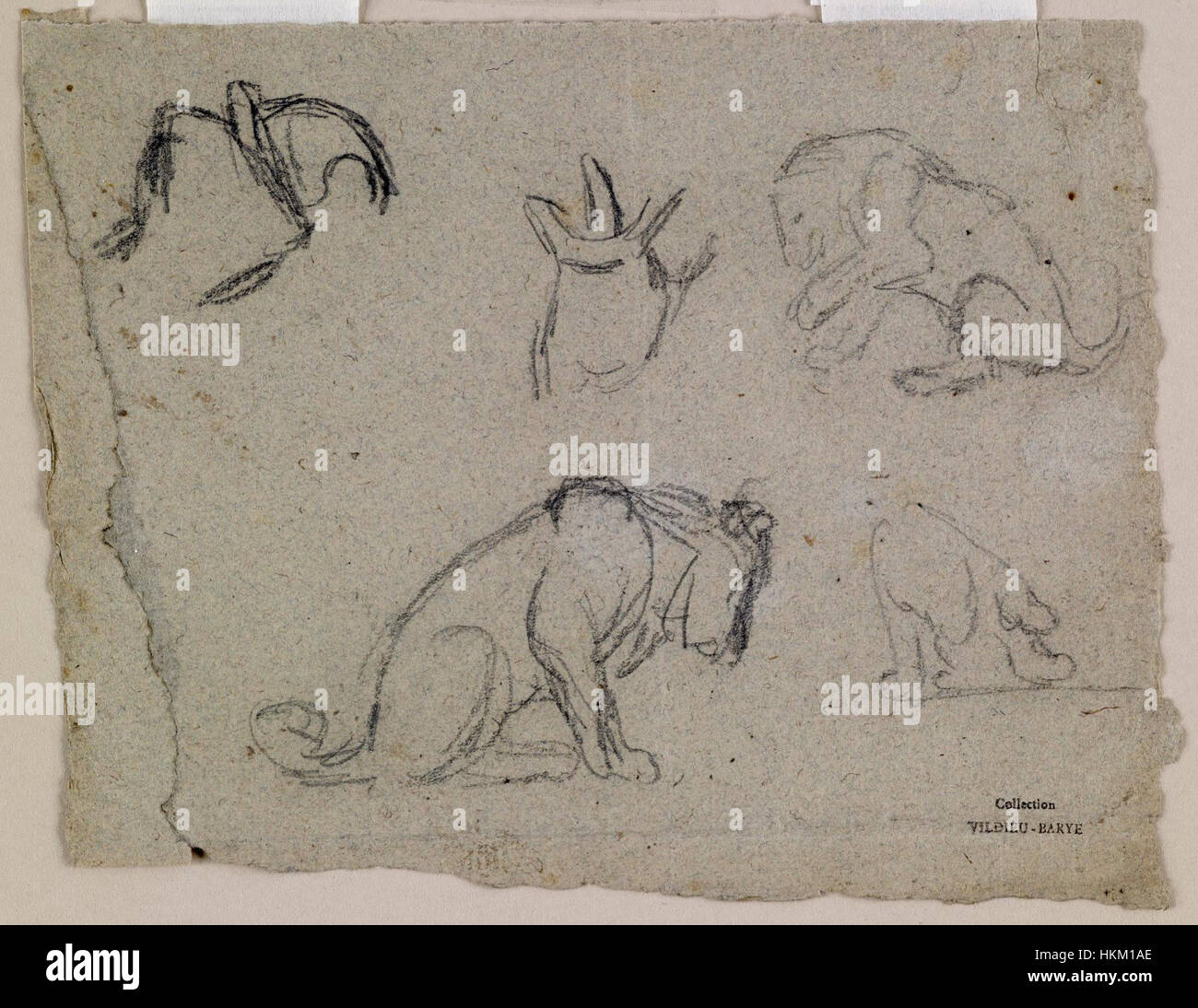 Dieser Entwurf von Antoine-Louis Barye zeigt seine detaillierte Untersuchung eines Löwen. Barye war bekannt für seine präzisen und ausdrucksstarken Tierskulpturen und Skizzen, die die Stärke und Anmut der Tierwelt mit großer Genauigkeit einfangen. Stockfoto