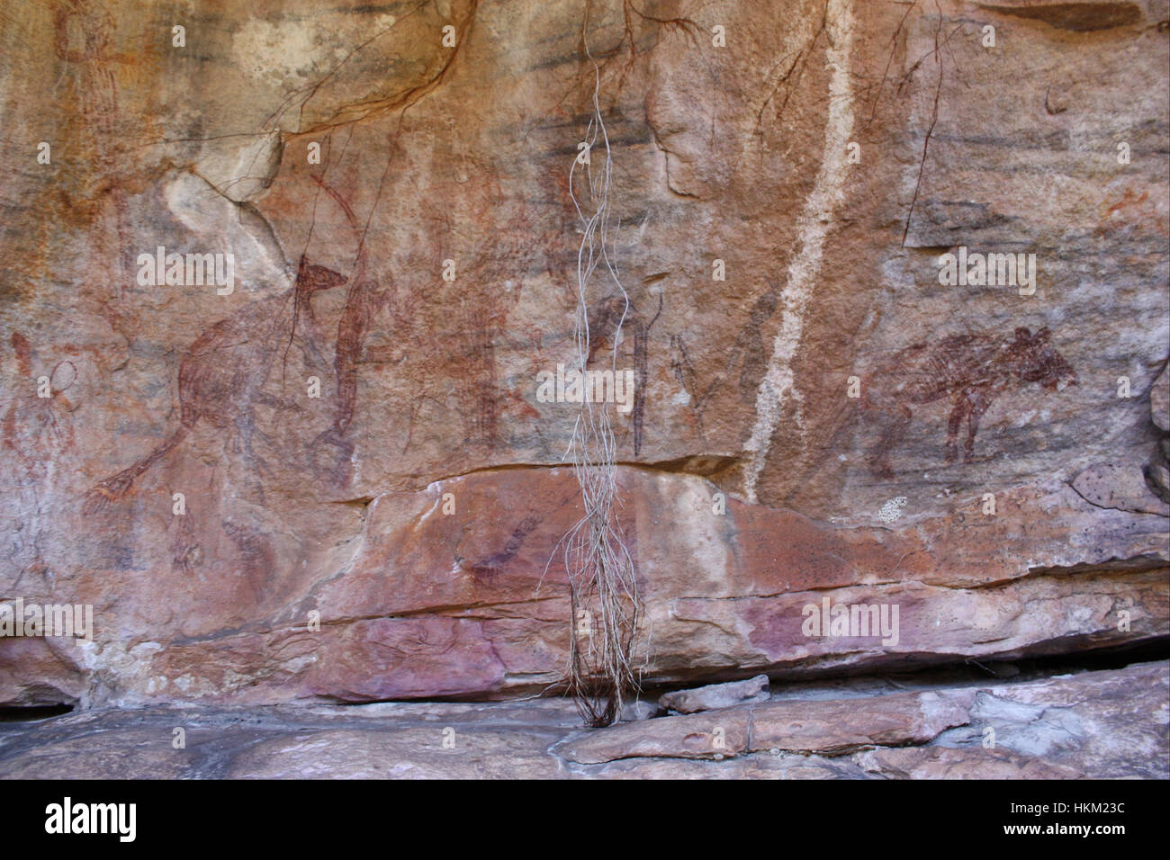 Diese antike Tiertafel, die im Google Art Project vorgestellt wurde, zeigt frühe menschliche Kunst, die verschiedene Tiere darstellt. Seine primitive, aber detaillierte Darstellung gibt Einblicke in das Verständnis der natürlichen Welt der frühen Zivilisationen und reflektiert kulturelle Praktiken durch Kunst. Solche Panels sind entscheidend für das Verständnis der Beziehung zwischen frühen Menschen und Tieren in ihrer Umgebung. Stockfoto