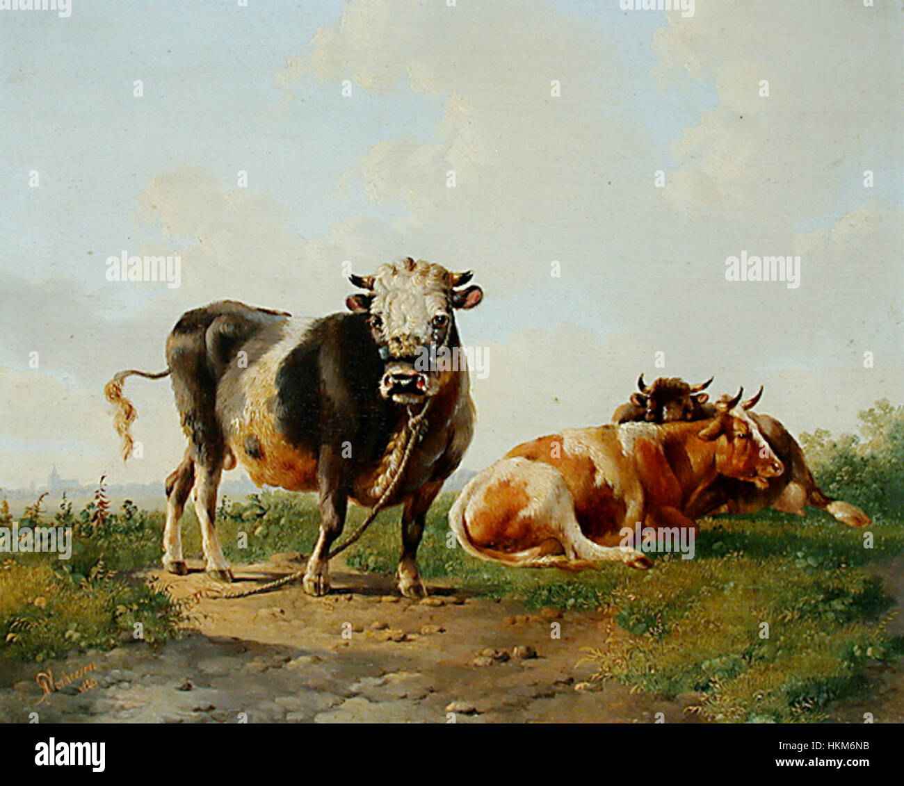 Drei Kühe Albertus Verhoesen Stockfoto