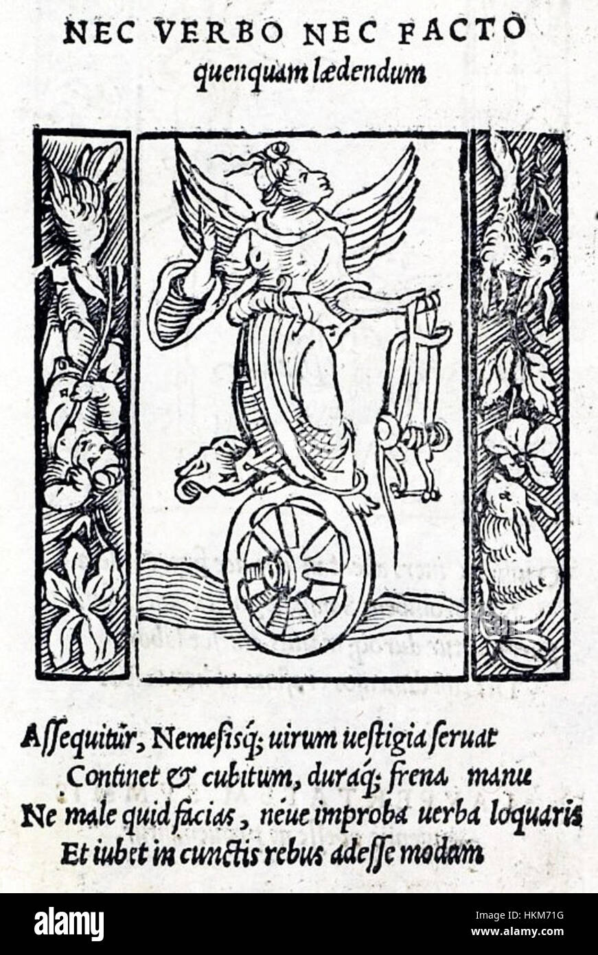 Alciato 1531 Augsburg 5 Stockfoto