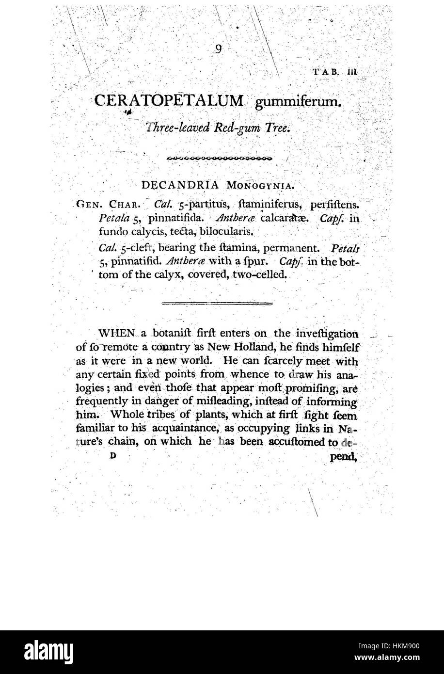 Die botanische Illustration „Ein Exemplar der Botanik von New Holland“ von Elizabeth und James Edward Smith zeigt eine detaillierte Untersuchung der australischen Flora aus dem frühen 19. Jahrhundert. Stockfoto