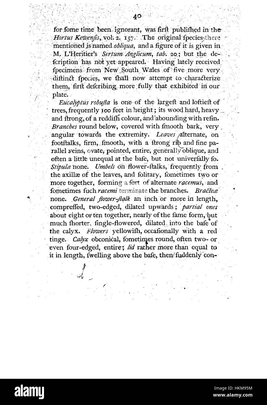 Diese Illustration von „A Example of the Botanique of New Holland“ zeigt eine Pflanze aus Australien. Die Arbeit, die Teil einer großen botanischen Erhebung war, zeigt die reiche Artenvielfalt der Region auf. Diese botanische Dokumentation half, das Wissen über die australische Flora im 18. Jahrhundert zu erweitern. Stockfoto
