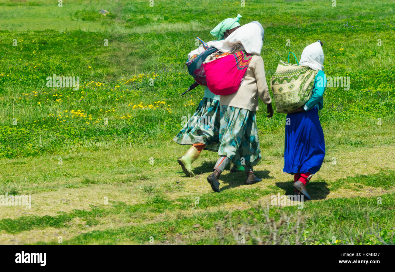 Menschen, die Reisen auf der Straße, Bahir Dar, Äthiopien Stockfoto