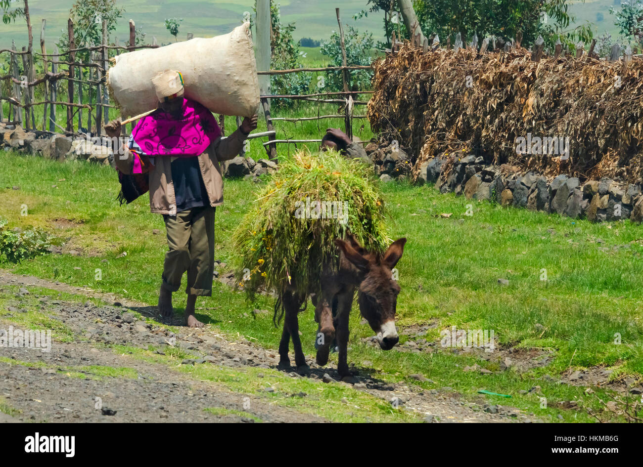 Reisende mit Esel auf dem Weg zwischen Bahir Dar, Äthiopien Stockfoto
