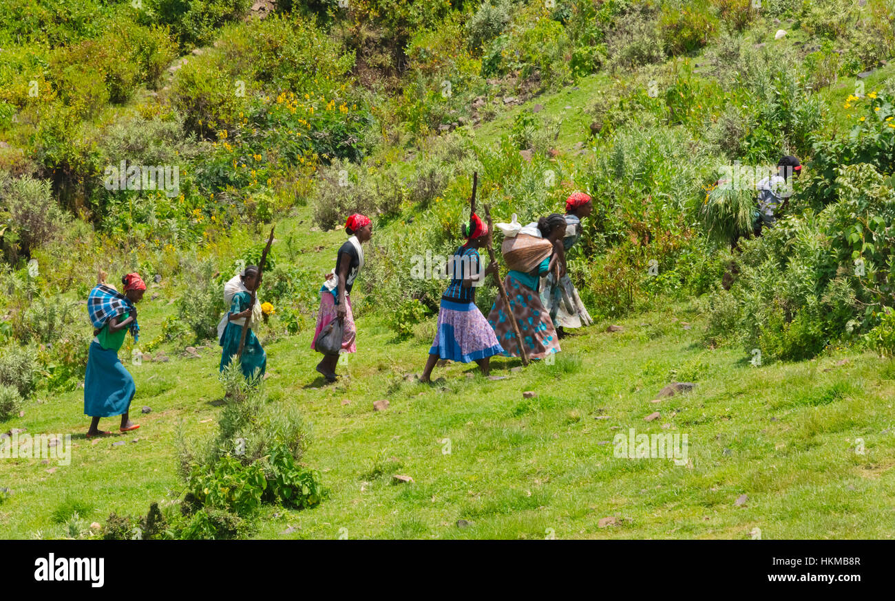 Menschen auf Reisen in den Bergen, große Schlucht des blauen Nil, Bahir Dar, Äthiopien Stockfoto