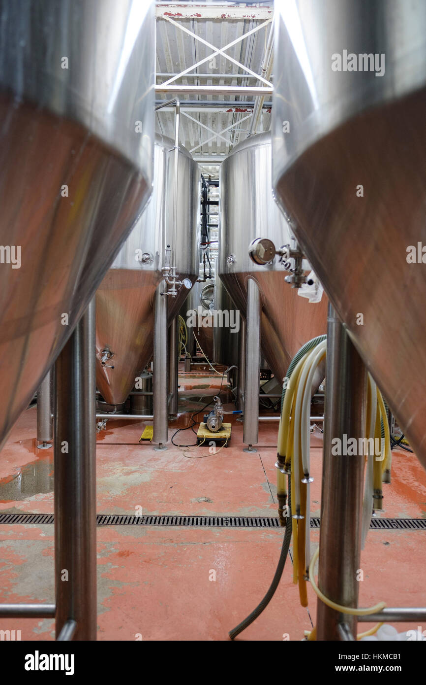 Mehrere rostfreien Edelstahltanks kommerzieller Bier / Bottiche verwendet für die Fermentation von Bier am Bahnhof City Brewing Co. in St. Thomas, Ontario, Kanada. Stockfoto