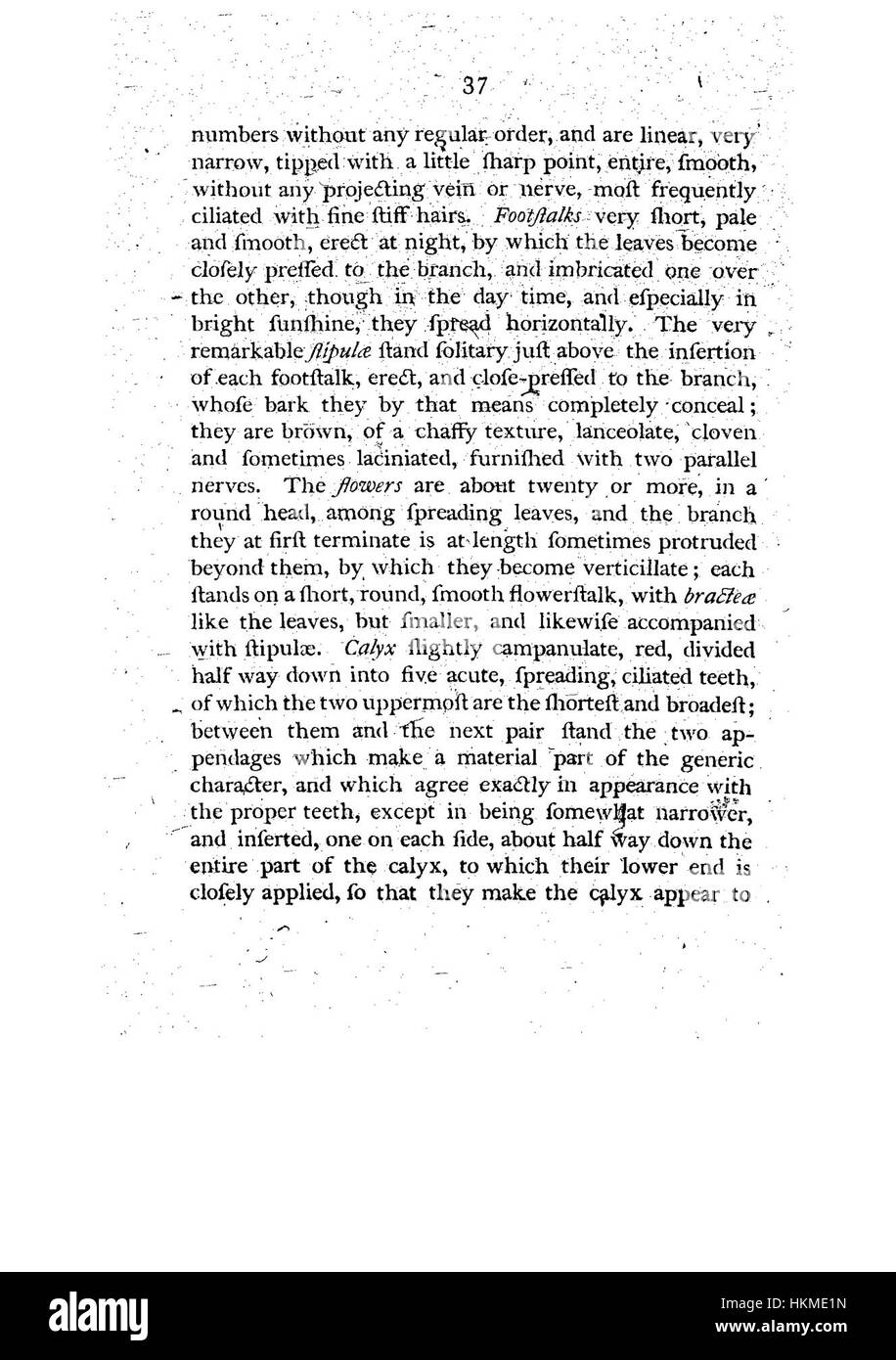 Eine botanische Illustration aus „A sample of the Botany of New Holland“, Seite 37, zeigt einheimische Pflanzenarten aus Australien. Das Kunstwerk hebt die komplexen Details und die wissenschaftliche Genauigkeit botanischer Illustrationen aus dem 19. Jahrhundert hervor. Stockfoto