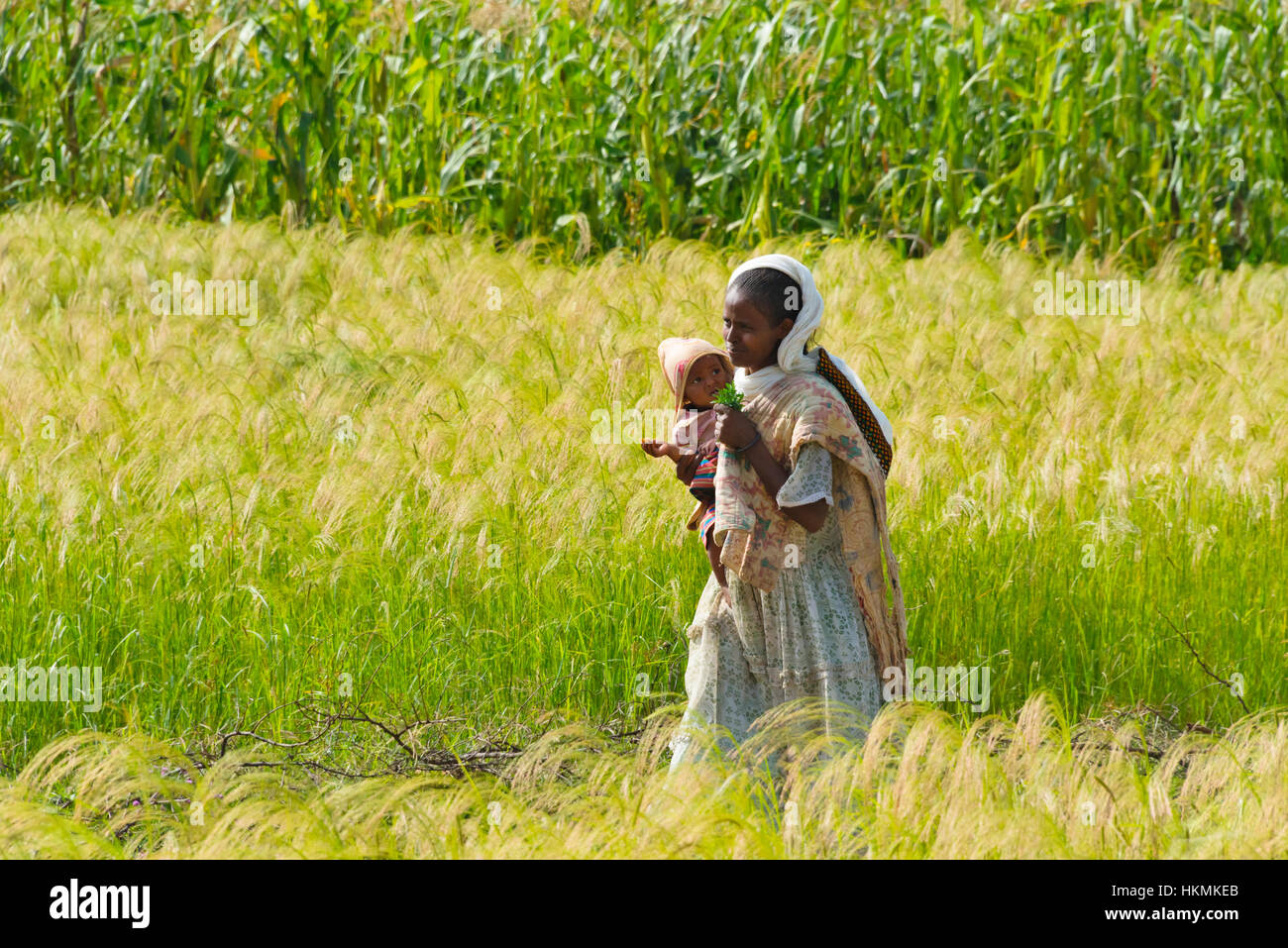 Frau mit Baby in Ackerland, Simien Berge, Äthiopien Stockfoto