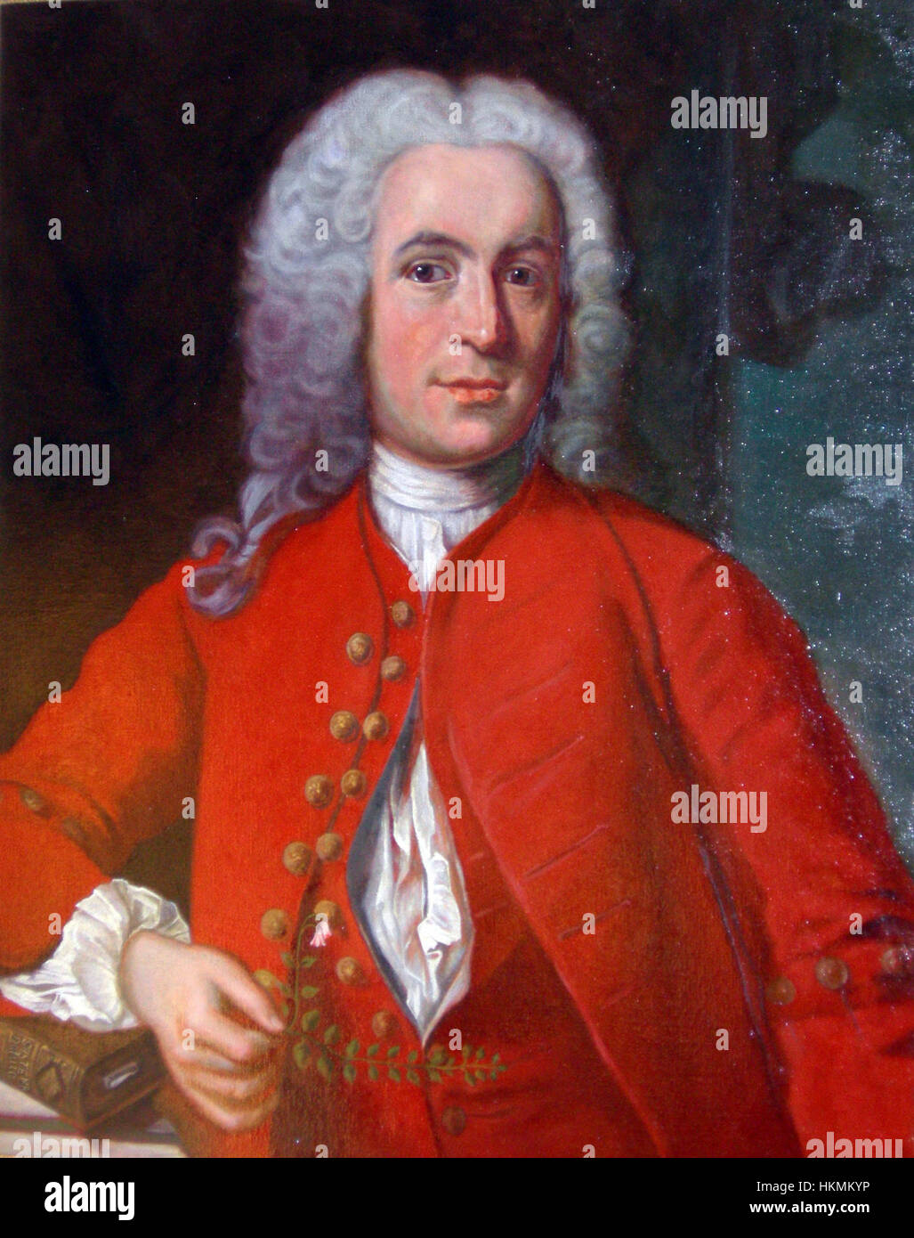 Das Hochzeitsporträt von Linnaeus zeigt Carl Linnaeus, den berühmten schwedischen Botaniker, und seine Frau Sara Elisabeth Moræa. Dieses Porträt aus dem 18. Jahrhundert feiert ihre Ehe und ist ein gutes Beispiel für historische Porträts. Linnaeus ist bekannt für seine Arbeiten in der Taxonomie und dem binomialen Nomenklatursystem. Stockfoto