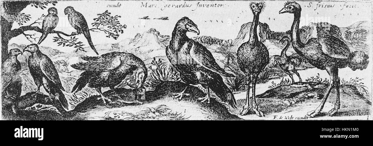 Ein Kunstwerk, das weiße Strauße und Adler in ihrem natürlichen Lebensraum zeigt. Das Stück unterstreicht die Schönheit und Anmut dieser Tiere und hält ihre Bewegungen und komplizierten Details auf lebendige, künstlerische Weise fest. Stockfoto