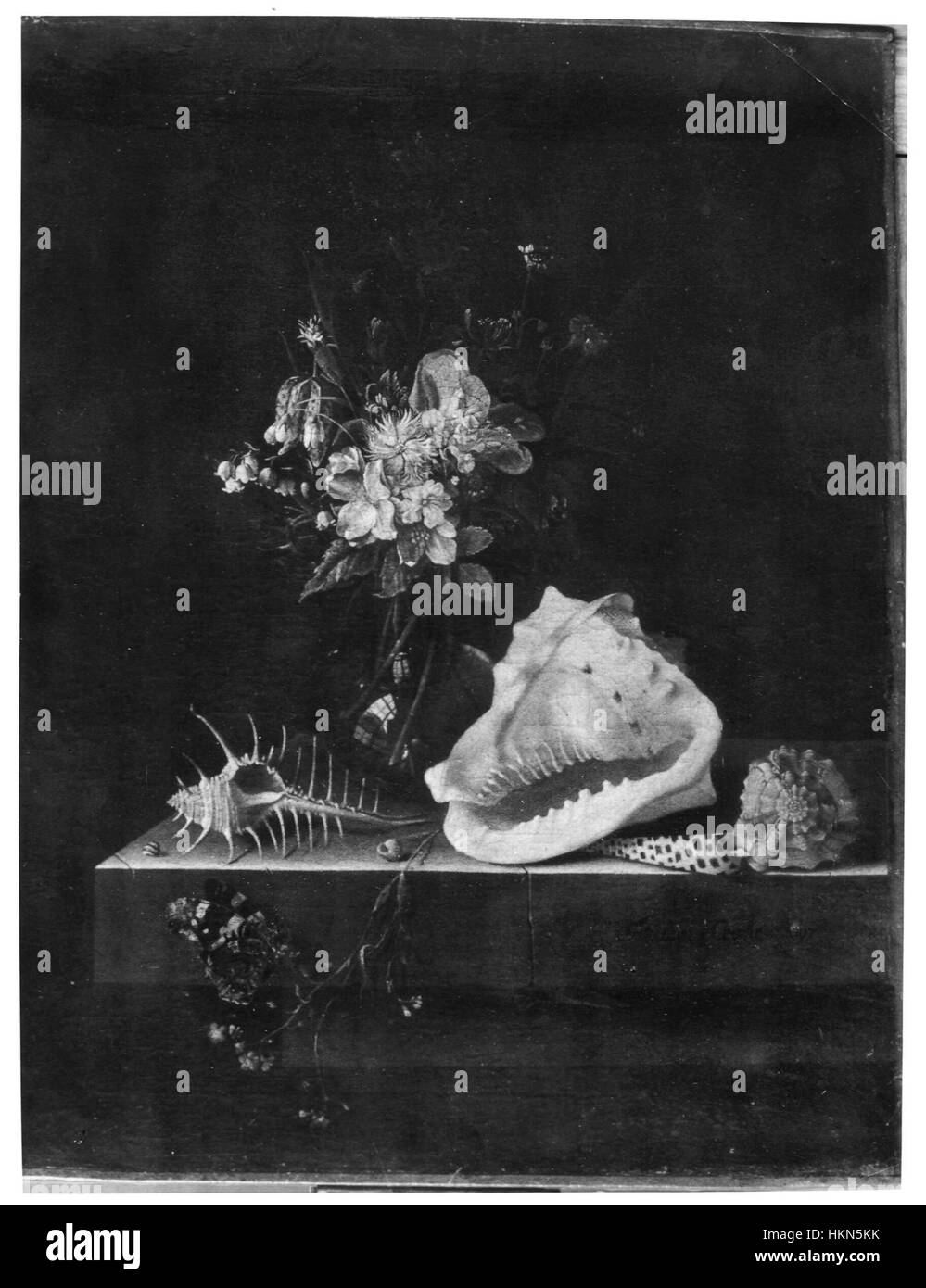 Adriaen Coorte's Stillleben Gemälde fängt das zarte Arrangement von Blumen, Muscheln und einem Schmetterling ein. Das Kunstwerk zeigt Coortes Beherrschung des Lichts und der Textur, die charakteristisch für die Stillleben des niederländischen Goldenen Zeitalters sind, und betont komplizierte Details und natürliche Schönheit. Stockfoto