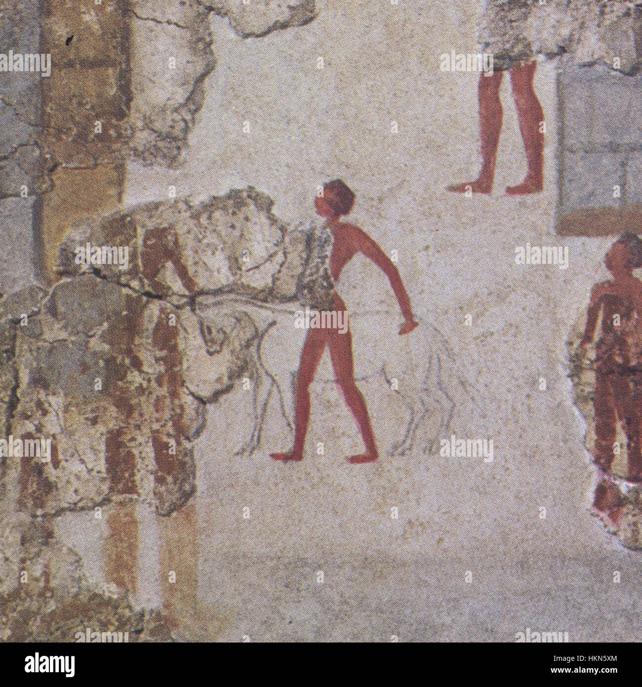 Dieses antike Fresko aus der minoischen Stadt Akrotiri auf der griechischen Insel Santorin veranschaulicht die fortschrittliche künstlerische Kultur der Minoer. Das Fresko, das lebendige Szenen des täglichen Lebens zeigt, ist ein bedeutendes Beispiel für die Kunst und das Handwerk der minoischen Zivilisation, das jahrhundertelang in der vulkanischen Asche der Eruption aufbewahrt wurde, die die Stadt begraben hat. Stockfoto