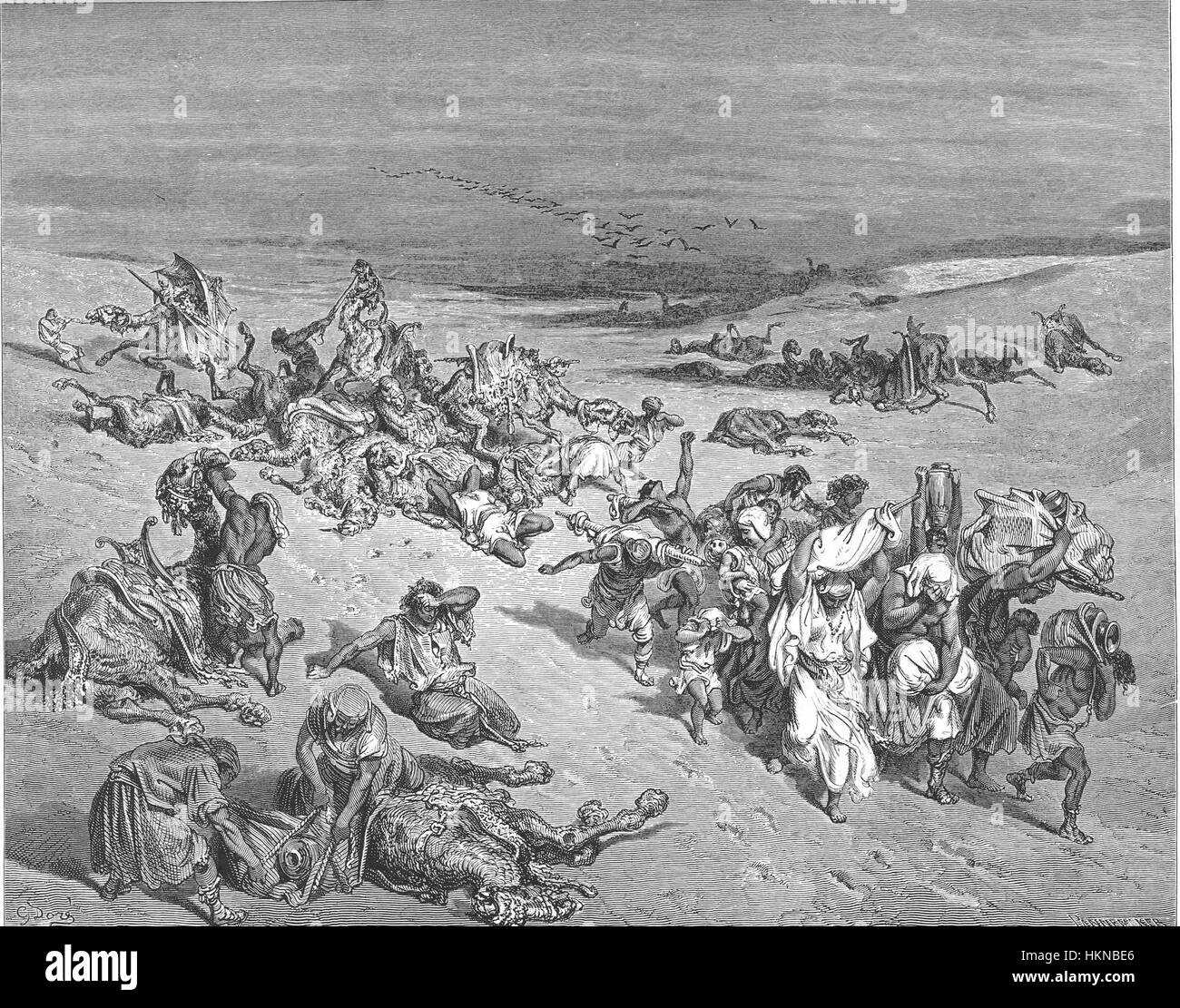Die fünfte Plage, ein biblisches Ereignis aus dem Buch Exodus, ist in einer historischen Illustration dargestellt und zeigt die Viehseuche, die Ägypten als eine Form göttlicher Strafe heimsuchte. Stockfoto