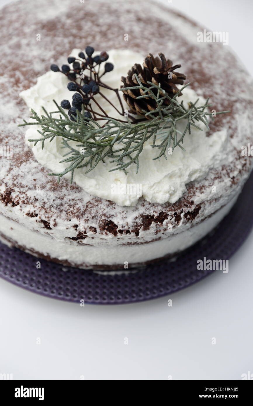 Snow cake -Fotos und -Bildmaterial in hoher Auflösung – Alamy Snow cake -Fotos und -Bildmaterial in hoher Auflösung – Alamy
