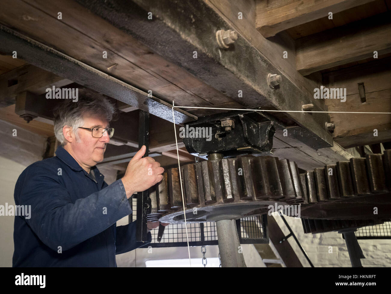 Holgate Windmühle Preservation Society Gründung Treuhänder und ausgebildete Miller Stephen Potts in der Windmühle, der ältesten arbeiten in Yorkshire. Stockfoto