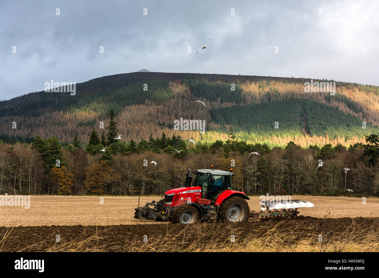 Fyrish, evanton, Ross Shire, Schottland, Vereinigtes Königreich Stockfoto