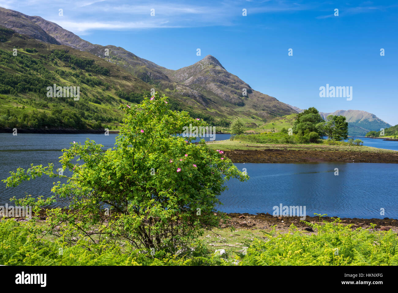 Bischöfe Bay, Loch Leven, Schottland, Vereinigtes Königreich Stockfoto