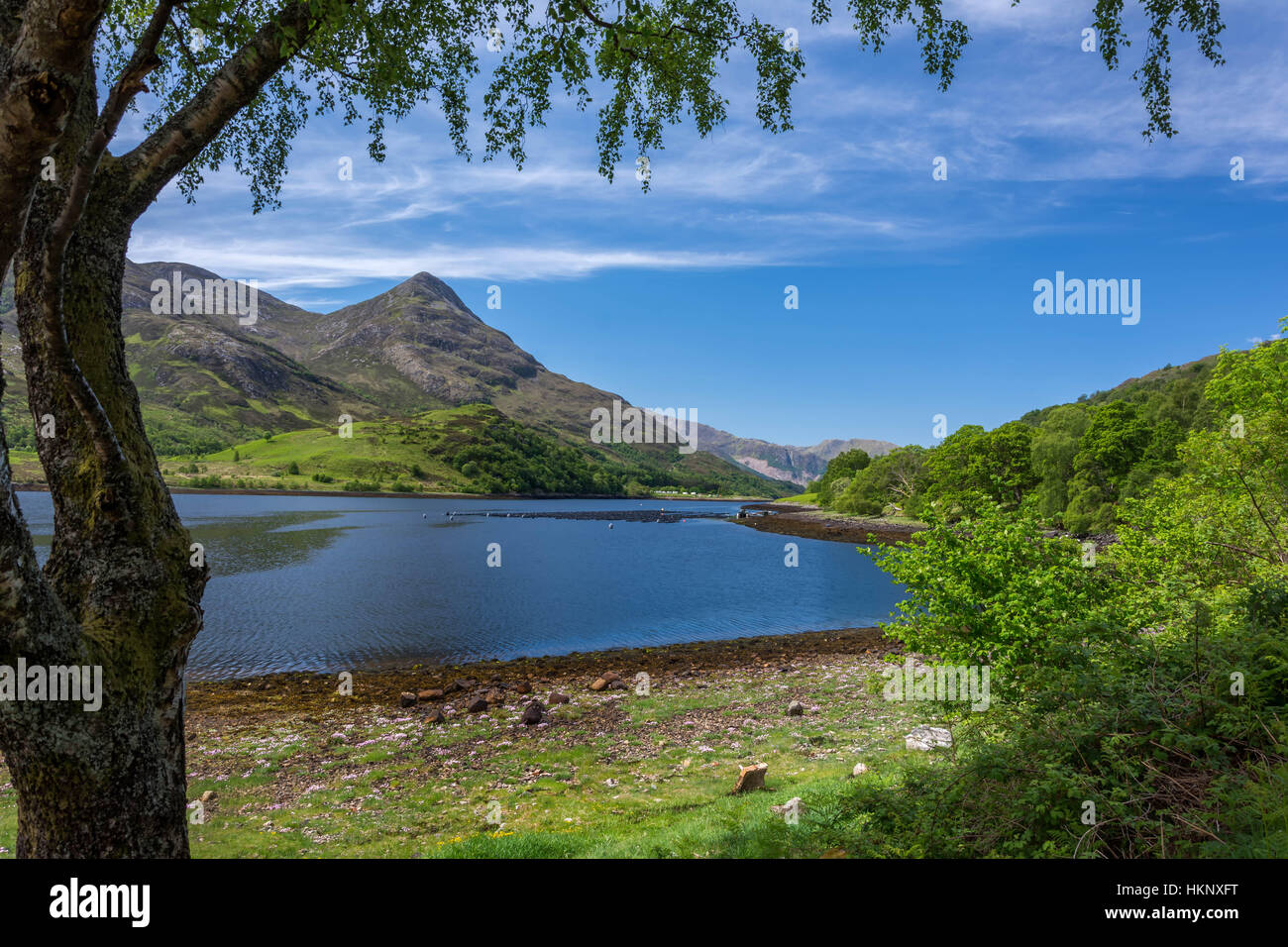 Bischöfe Bay, Loch Leven, Schottland, Vereinigtes Königreich Stockfoto