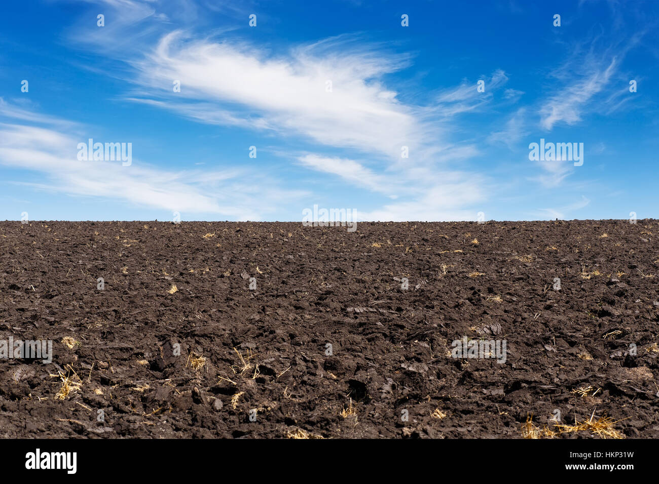 schwarzen Feld und blauer Himmel Stockfoto