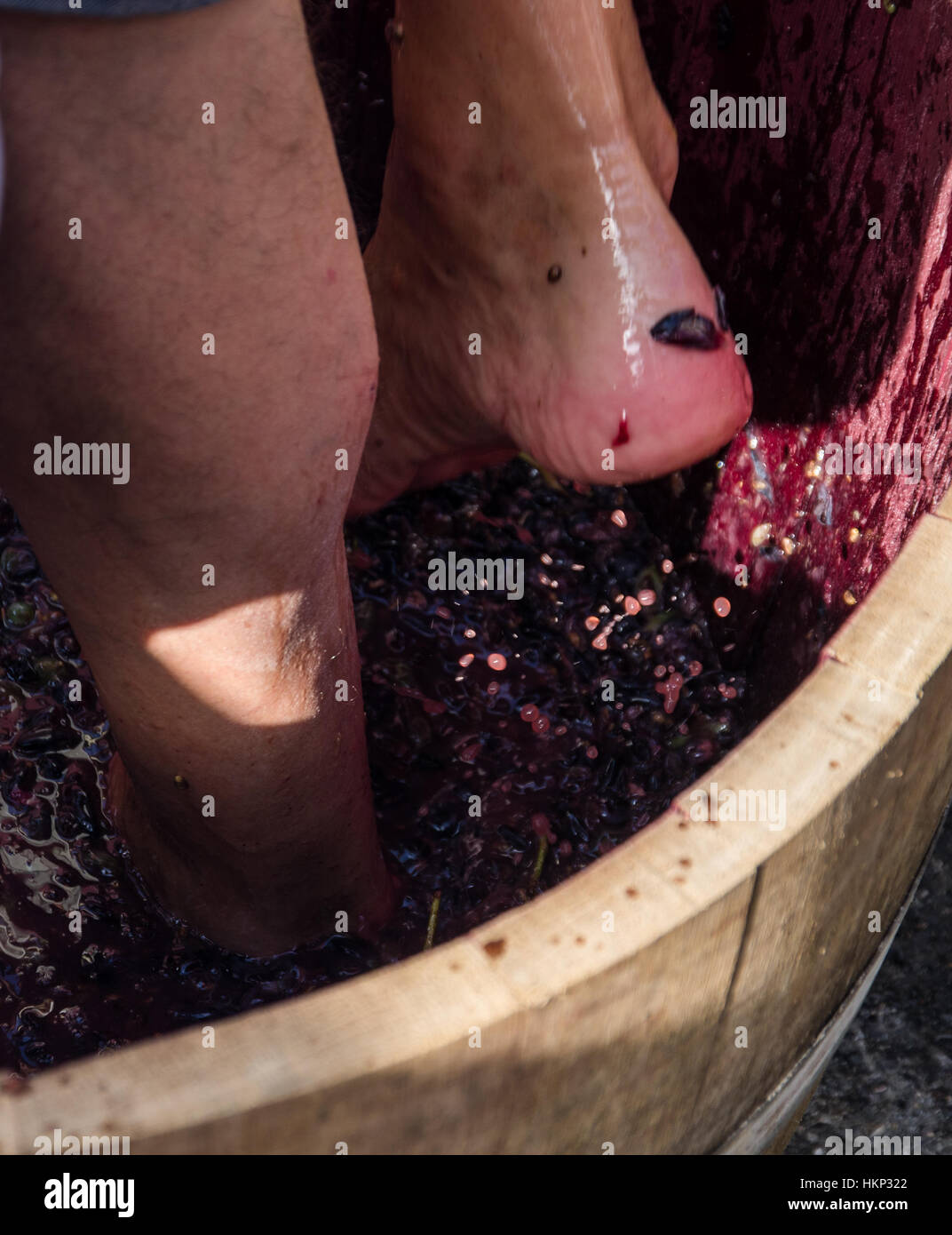 Trauben von roten Trauben bereit, mit den Füßen nach alten Traditionen und echte Weinproduktion gedrückt werden. Stockfoto