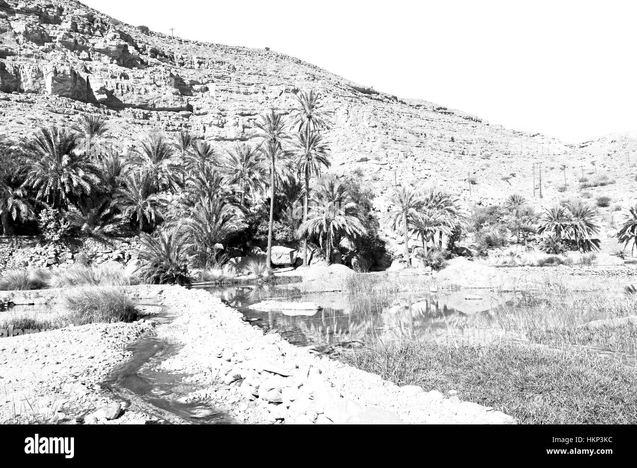 Oman Alter Berg und Wasser im Canyon Wadi Oasi Naturparadies Stockfoto