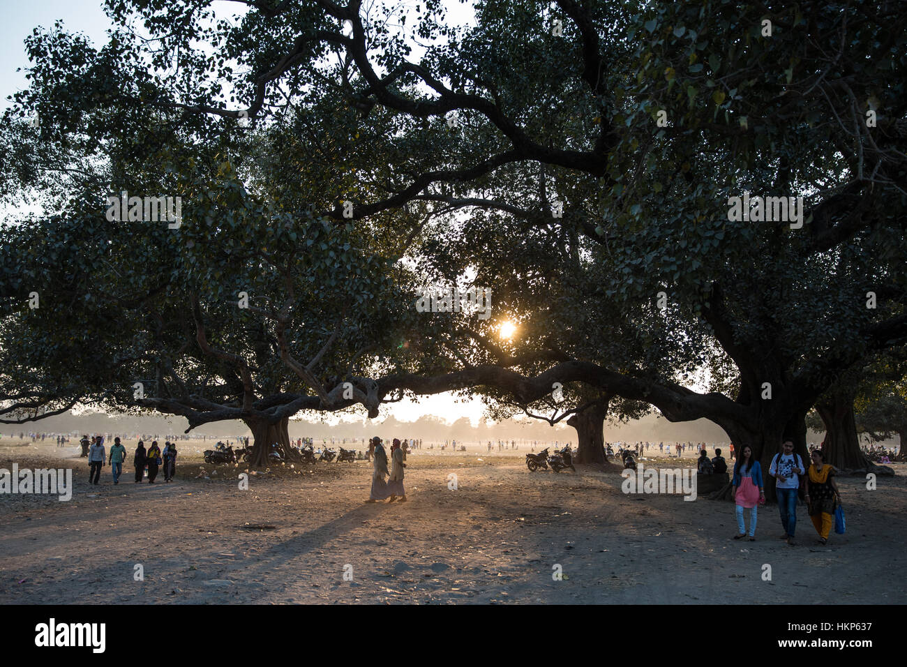 Die Sonne geht über Maidan Park in Kolkata (Kalkutta), West Bengal, Indien. Stockfoto