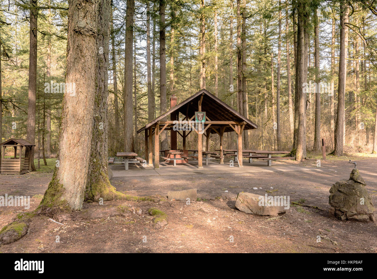 Öffentlicher Park Picknick-Bereich und Bäume State Parks in Washington. Stockfoto