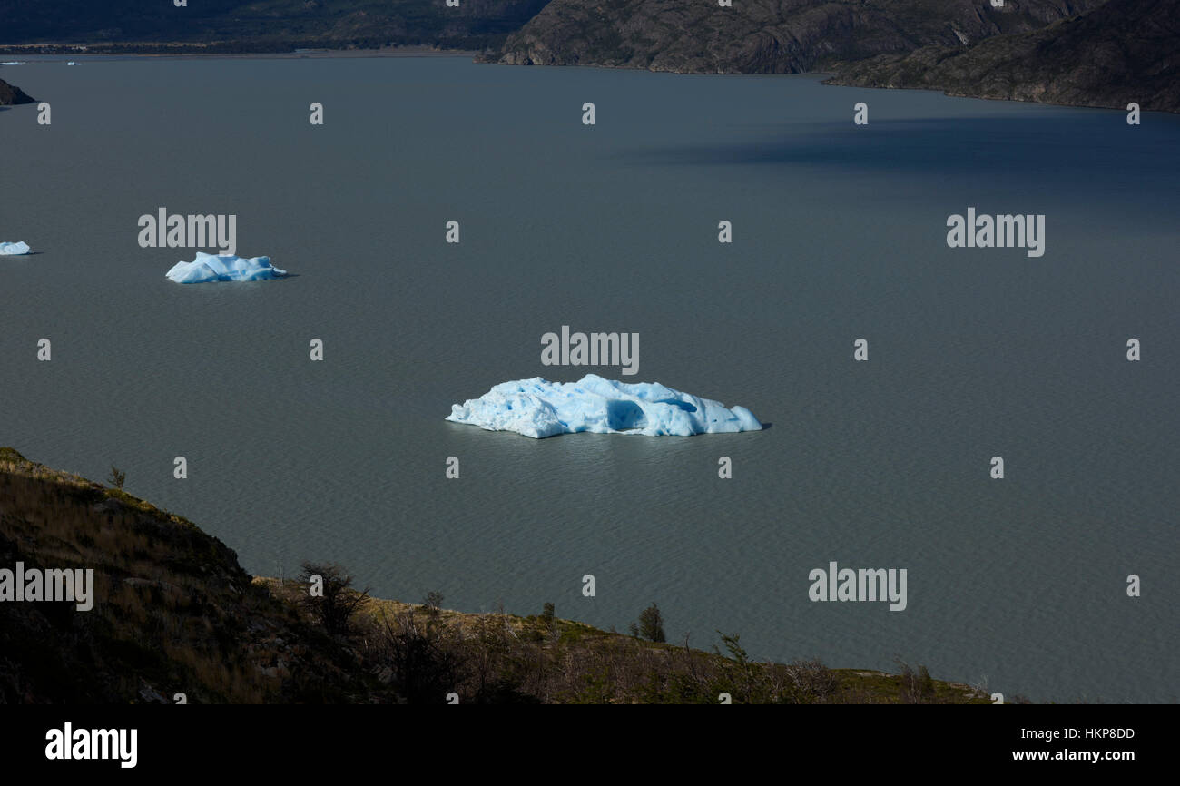 Torres del Paine Nationalpark Eisberge am Lago Grey, Chile. Stockfoto